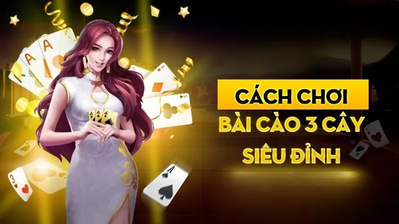 Hướng Dẫn Cách Chơi Bài Ba cây Chi Tiết Tại NOHU Kinh nghiệm chơi game bài Ba cây thắng lớn tại NOHU