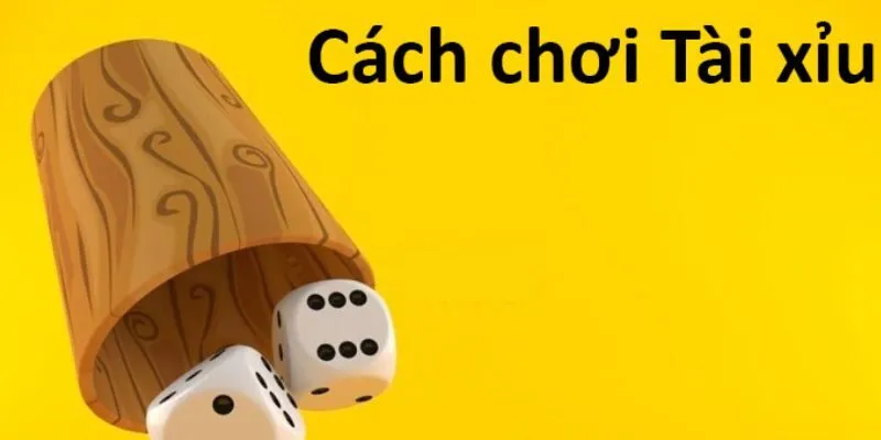 Hướng Dẫn Cách Chơi Tài Xỉu Thắng Lớn Dành Cho Game Thủ Cách chơi Tài xỉu đỉnh cao với soi cầu