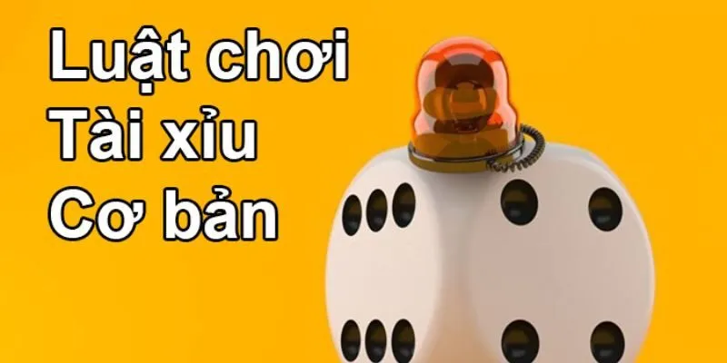 Hướng Dẫn Cách Chơi Tài Xỉu Thắng Lớn Dành Cho Game Thủ Luật chơi tài xỉu cơ bản và dễ hiểu nhất
