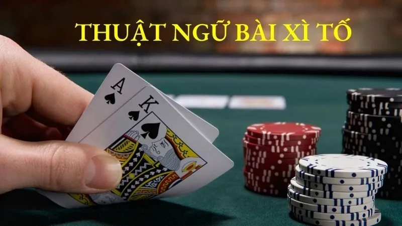 Hướng Dẫn Cách Chơi Bài Xì Tố Chi Tiết Nhất Tại NOHU Thuật ngữ về cách chơi bài Xì Tố bạn nên biết